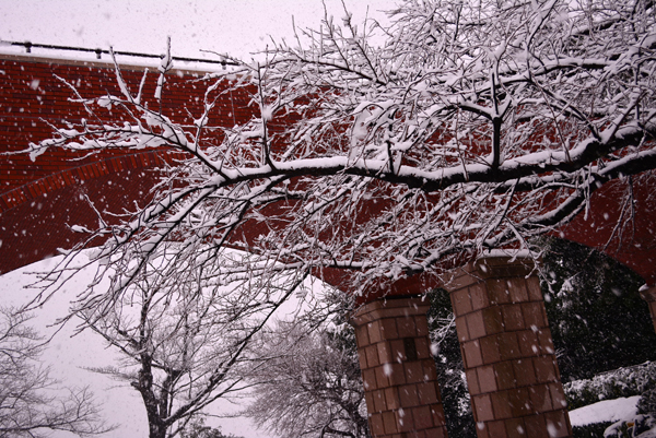 130114 asm 3 DSC_0891.jpg